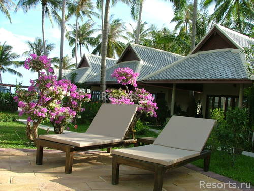 Koh Samui Resort 12